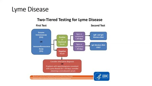 Lyme Disease Part 2 смотреть онлайн
