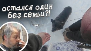 Он остался без семьи... Куда ему теперь деться?