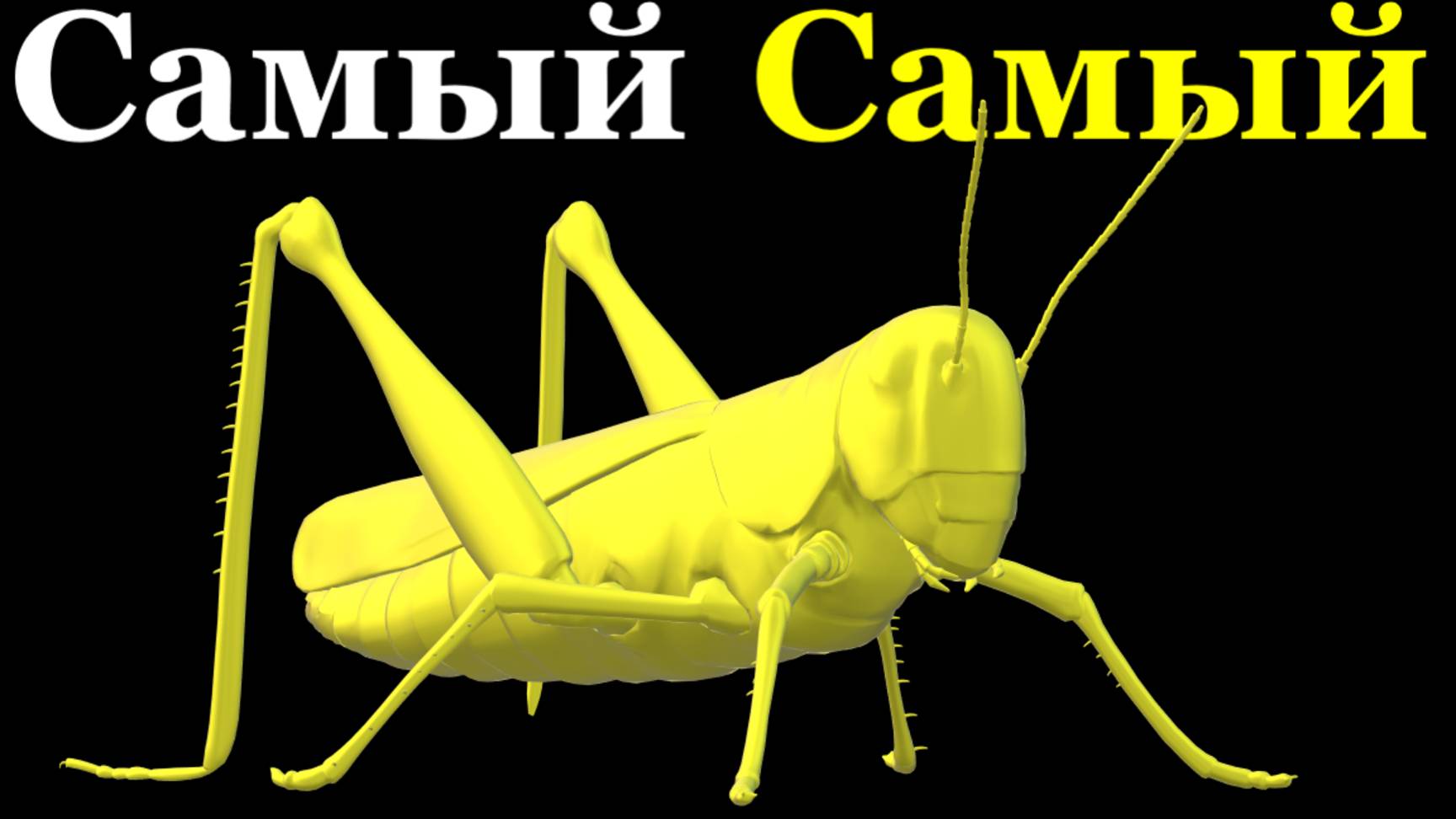 Самый большой в мире кузнечик видео факты очень интересно