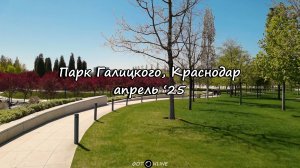 Парк Галицкого, Краснодар. 19 апреля 2025