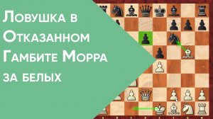 Ловушка в Отказанном Гамбите Морра за белых. Для начинающих