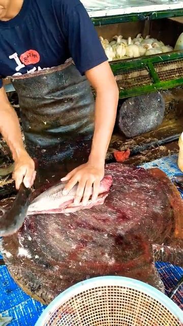 SUPER FASTEST FILLETING SKIPJACK FISH 😎😎 смотреть онлайн