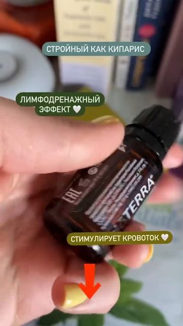 Чистое Эфирное масло Кипарис из Кении.