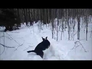 Моё первое видео