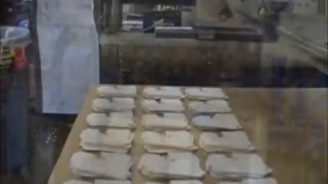 MGS PHS Six Lane Card into Platten Placer смотреть онлайн