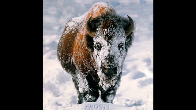 The Eff Word - Tbc (Crustation Slow Mix) смотреть онлайн