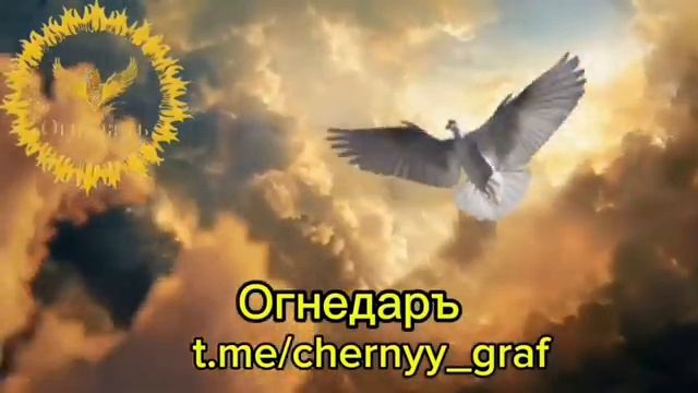 Вся правда про Крещение и Раскрещивание. Что это такое и зачем нужно?