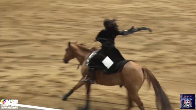 2021 Quarter Horse Congress Freestyle Megan Bush on JWB Tex смотреть онлайн