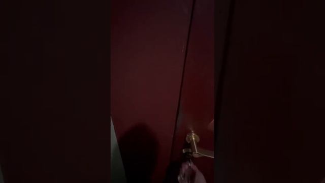 Квартира Питер Большая Зеленина дом 38