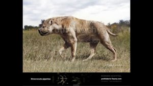 Prehistoric Profiles: Dinocrocuta