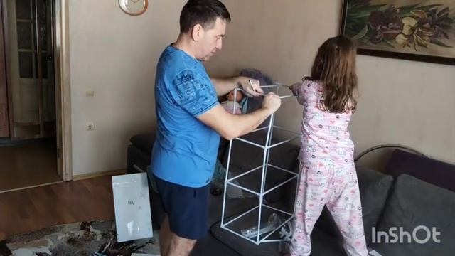 Распаковка стеллажа с Вайлдберриз. Муж собрал стеллаж для рассады 🌱. Готовлю вкусный обед 🍜
