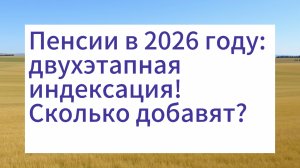 Пенсии вырастут дважды в 2026 году! Сколько добавят?" Объясняет экономист Игорь Балынин.