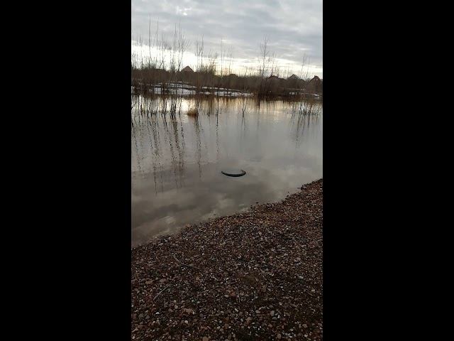 Паводок 04.04.2019 на речушке Ашкадар! Часть 3 смотреть онлайн