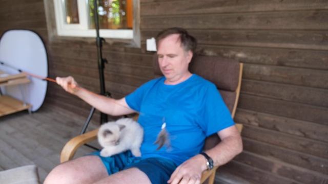 Элвис смотреть онлайн