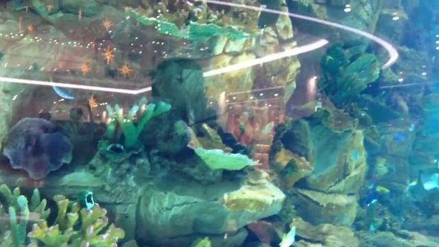 Sand Shark смотреть онлайн