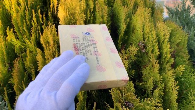 Шу пуэр 2010 год дворцовый 250 г кирпич смотреть онлайн