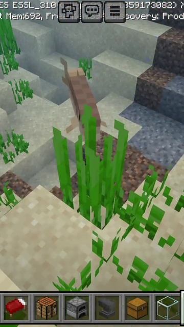 Лосось крутится 1 минуту. смотреть онлайн