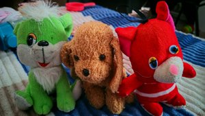 играем в плюшевых мягких собачек для детей