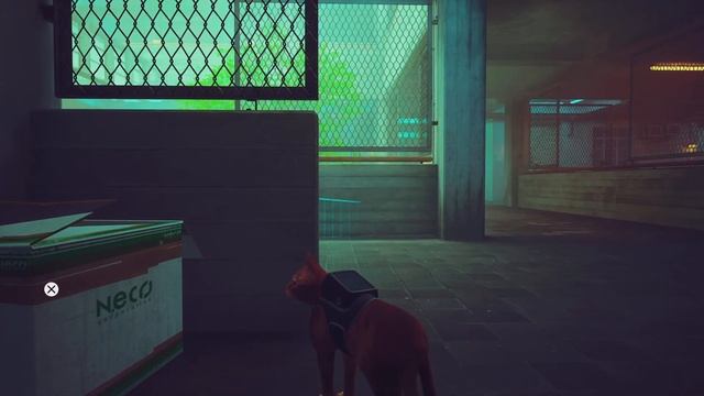 Stray - Clementine Flat Run (Success) смотреть онлайн