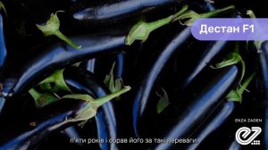 Дестан F1 / Destan F1,85-95 дней, Enza Zaden