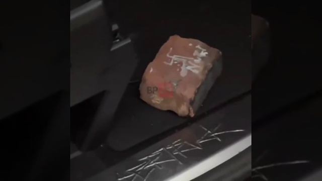 Семейный терапевт из Бруклина мстит Маску и Трампу