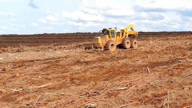 Skidder Tigercat 615C Leand Cleaning