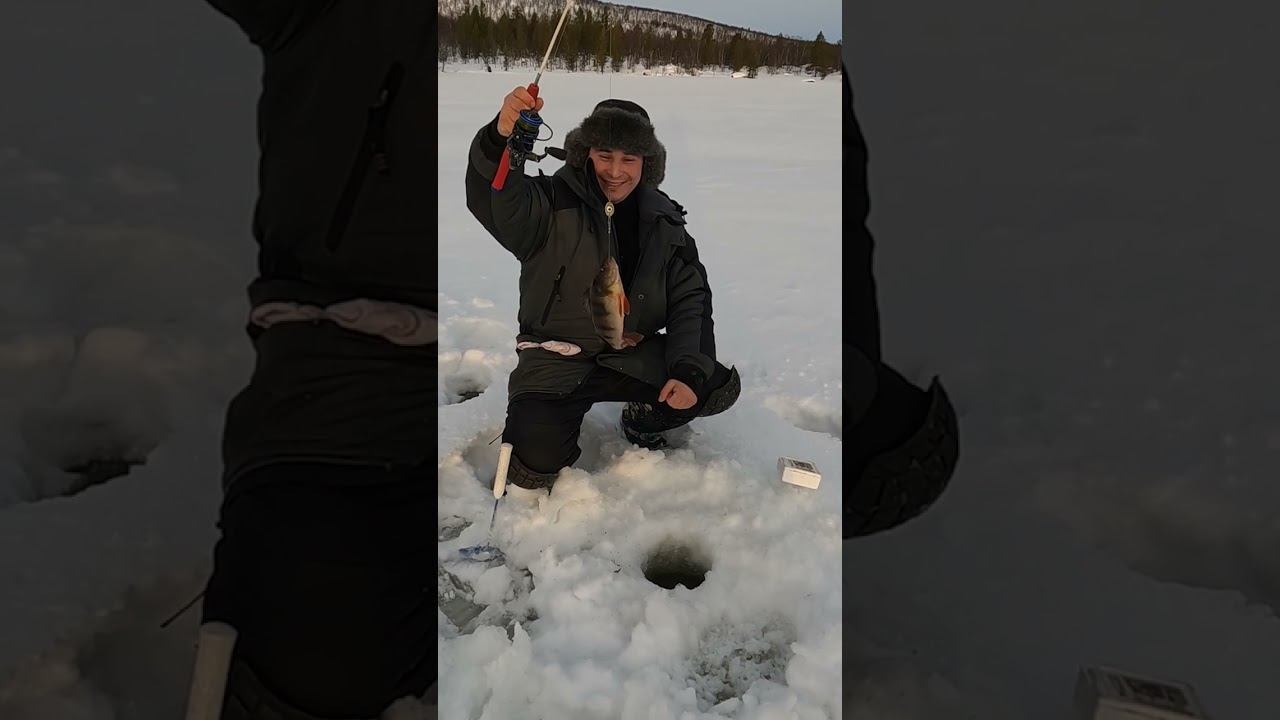 Зачётный Окунь Зимой