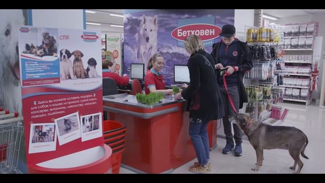 Моменты ради которых смотреть онлайн