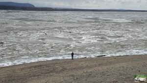 Комсомольск-на-Амуре Ледоход на Амуре 21 апреля 2025 года