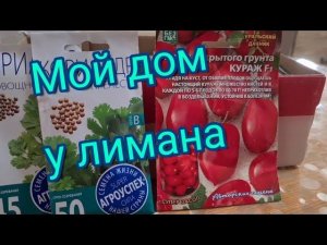 Мой дом у лимана.  Какие у нас семена?  Ейск. Купила новые шторы. Ремонт в Ейске. Ананас.