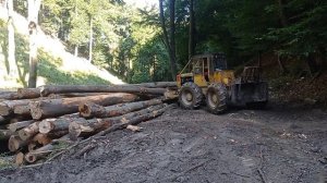 LKT 81 turbo - Vyťahovanie najhrubšieho stromu z porastu