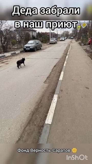 наш Дедуля #саратов #вдобрыерукисаратов #верностьсаратов