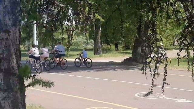 Остров Татышев  летом.