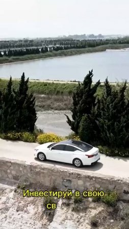 От Зарплаты До Финансовой Свободы За 200 Дней?
