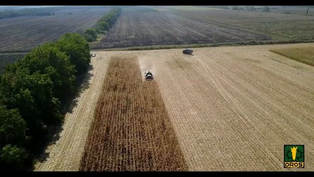 Работа жатки OROS CORNADO 8R с комбайном TORUM 750 смотреть онлайн