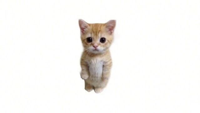 Плейлист, под который удобно чувствовать себя котёнком