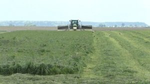 заготовка сенажа 2021. покос травы трактором John Deere 8420