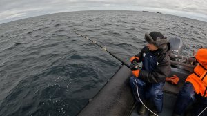 МОРСКАЯ РЫБАЛКА ОСЕНЬЮ