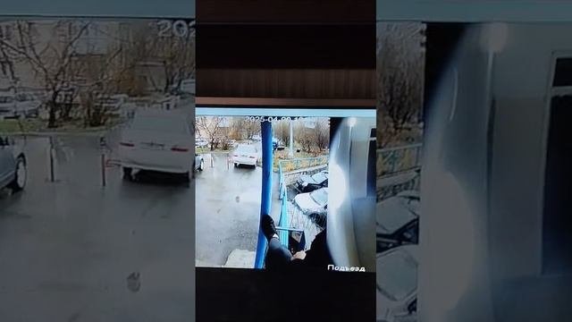 вредители