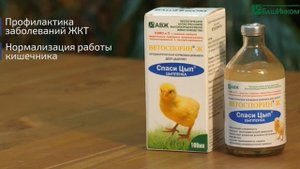 Спаси Цып видео