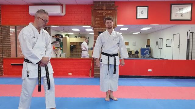 Learn Karate @ Home - Cat Stance смотреть онлайн