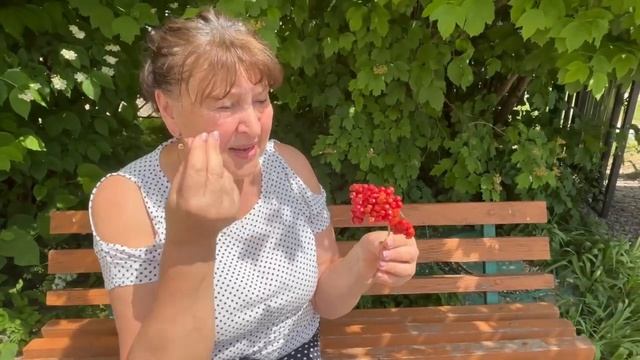 Наталя Фаліон - Лісапетний батальйон - Пісня лине про калину