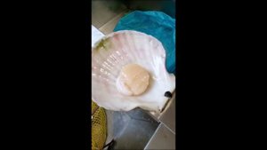 Дары моря - гребешок. Отдых от вязания.