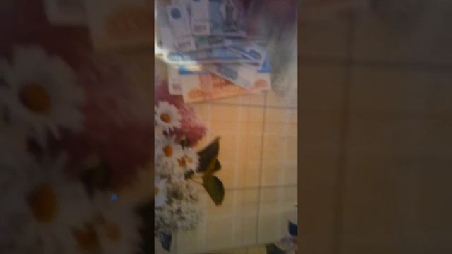 Короткий VLOG о том как я зарабатываю себе на жизнь и отдых! смотреть онлайн