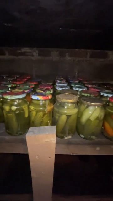 Погреб смотреть онлайн