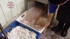 Машина для очистки кальмара КМ-200