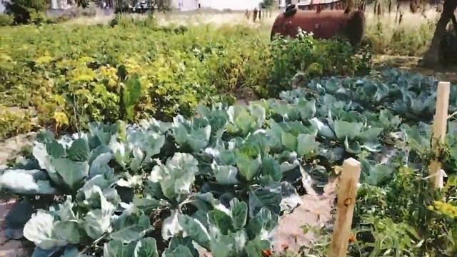 Продолжаем гостить в Макарове. смотреть онлайн