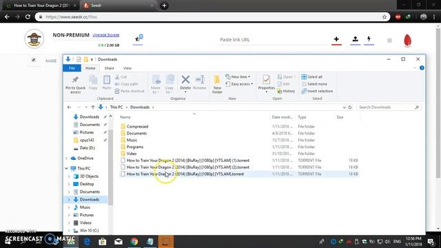 Convert Torrent Link to Direct Link Using Seedr and IDM 2018 смотреть онлайн
