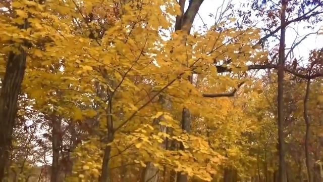 Chalne Lagi Hai Hawayein - Abihijeet Bhattacharya смотреть онлайн