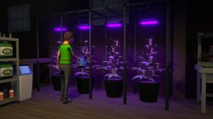 Делаем конфетки с сюрпризом в Schedule I